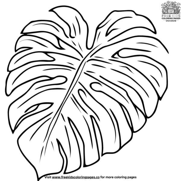 Monstera leaf coloring pages