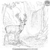 Mule Deer Near A Waterfall Coloring Pages