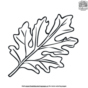 Oak Leaf Coloring Pages