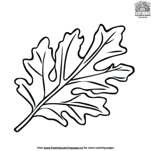 Oak leaf coloring pages