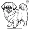 Pekingese Coloring Pages