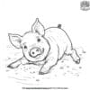 Pig In Mud Coloring Pages