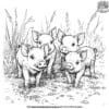 Piglet Litter Coloring Pages