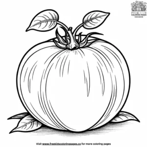 Plump Tomato Coloring Pages