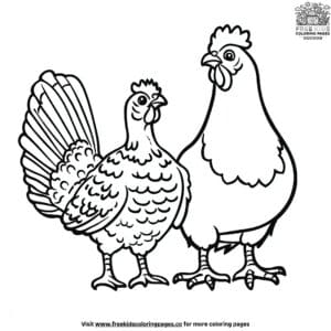 Poultry Bird Coloring Pages