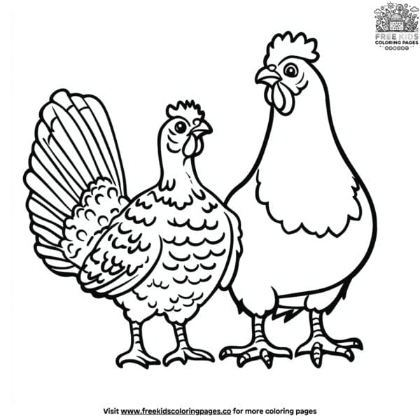 Poultry bird coloring pages