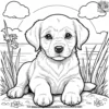 Puppy in the Sunshine Coloring Pages