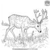 Realistic Deer Grazing Coloring Pages