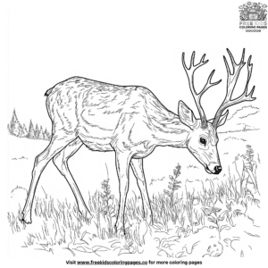 Realistic deer grazing coloring pages