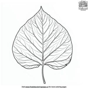 Redbud Leaf Coloring Pages