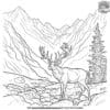 Reindeer In the Mountains Coloring Pages