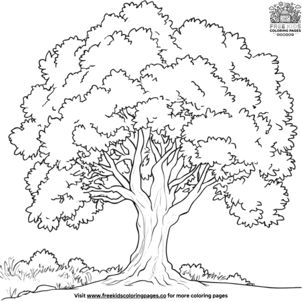 Shady maple tree coloring pages