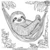 Sloth In A Hammock Coloring Pages