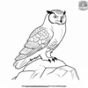 Snowy Owl Perch Coloring Pages