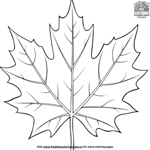 Sycamore leaf coloring pages