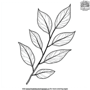 Tea leaf coloring pages