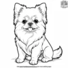 Tiny Fluffy Dog Coloring Pages