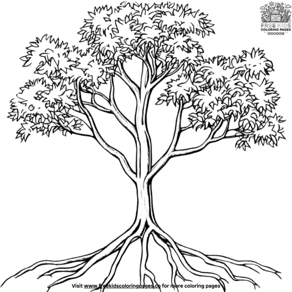 Tropical mangrove tree coloring pages