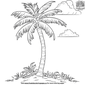 Tropical palm tree coloring pages