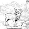 Tundra Biome Coloring Pages