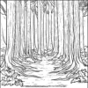 Whispering Forest Coloring Pages