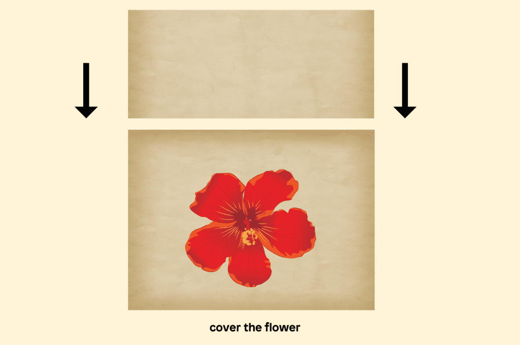 Cover the flower