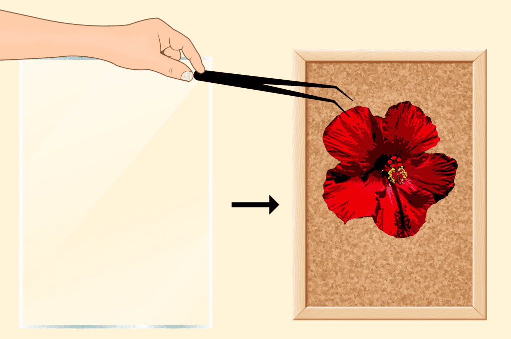 Use tweezers to arrage the flower