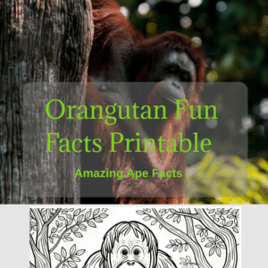 Orangutan Fun Facts Printable