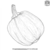 Acorn Squash Coloring Pages