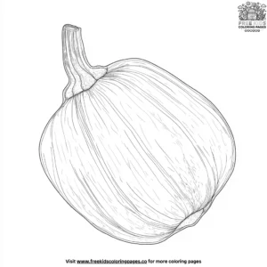 Acorn Squash Coloring Pages