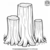 Ancient Redwood Stumps Coloring Pages