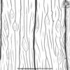 Ancient Sequoia Bark Coloring Pages