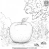 Apple and Ladybug coloring pages