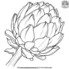 Artichoke Coloring Pages