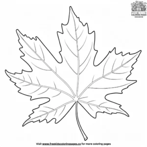 Autumn Leaf Collection Coloring Pages