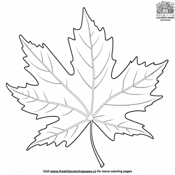 Autumn leaf collection coloring pages