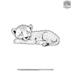 Baby Cheetah Nap Coloring Pages