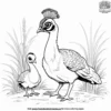 Baby Peafowl Coloring Pages