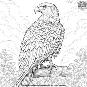 Bald eagle coloring pages