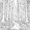 Beech Tree Beauty Coloring Pages