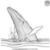 Blue Whale Splash Coloring Pages