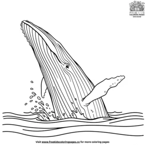 Blue Whale Splash Coloring Pages