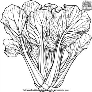 Bok Choy Coloring Pages