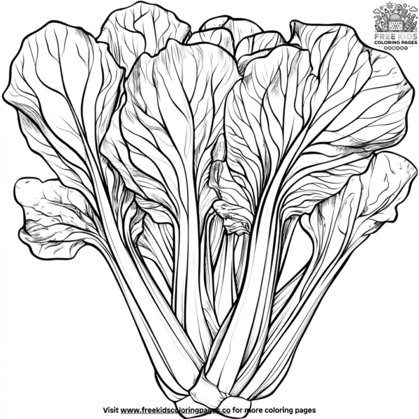 Bok choy coloring pages