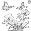 Butterflies and Orchids Coloring Pages