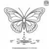 Butterfly Near A Puddle Coloring Pages