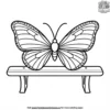 Butterfly On A Bench Coloring Pages