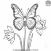 Butterfly On A Daffodil Coloring Pages