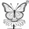 Butterfly On A Daisy Coloring Pages