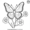 Butterfly On A Forget me not Coloring Pages